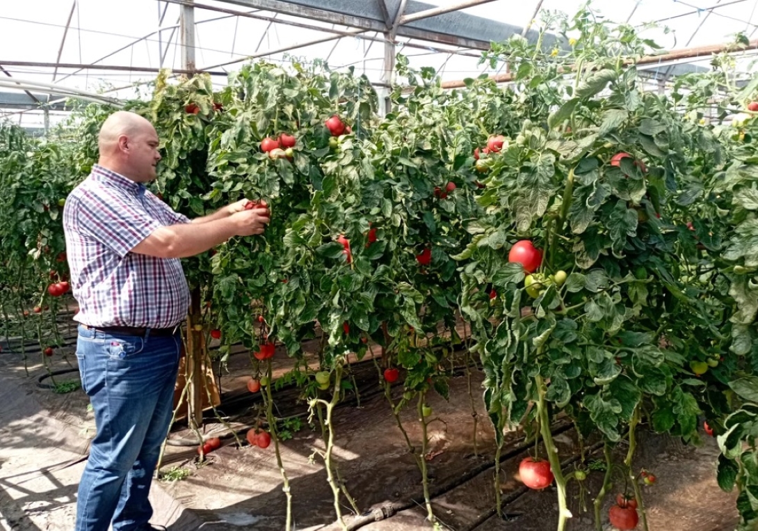 Botoșani, județul sărac care poate hrăni peste două milioane de români: Zona cu potențial incredibil nevalorificată suficient