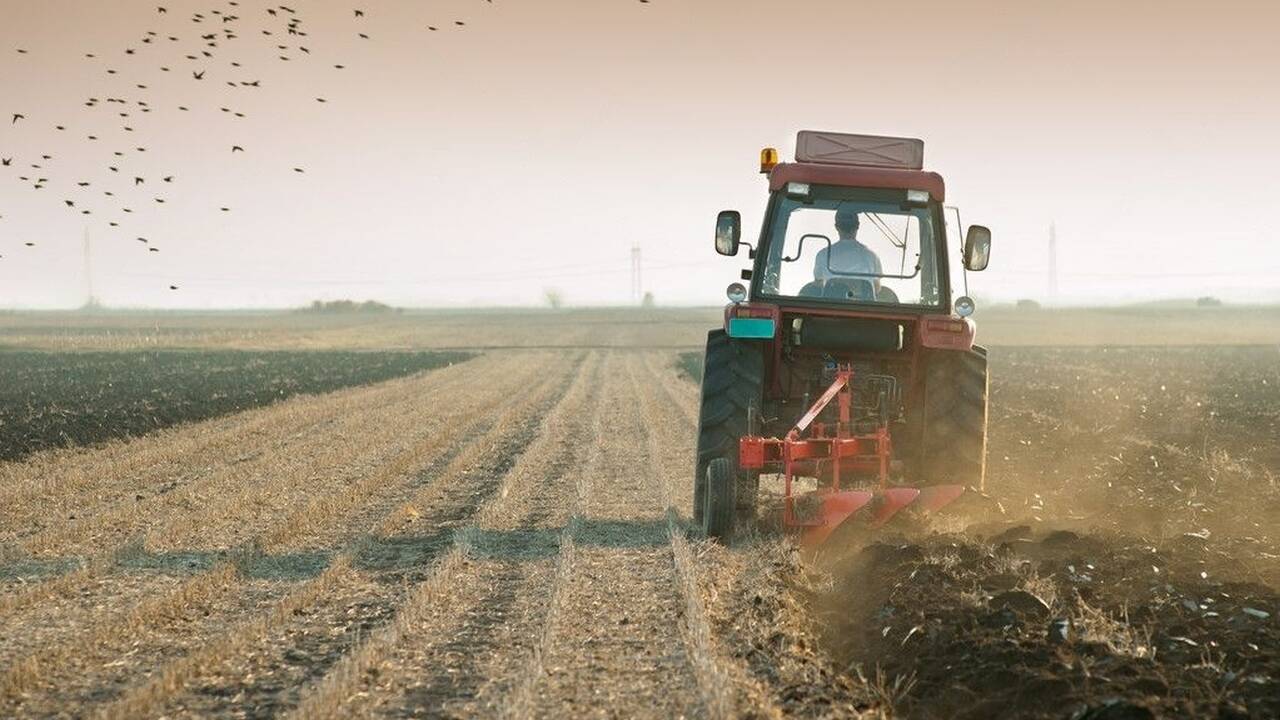 Avans APIA: Peste 3.000 de dosare autorizate la plată- Sumele pe hectar