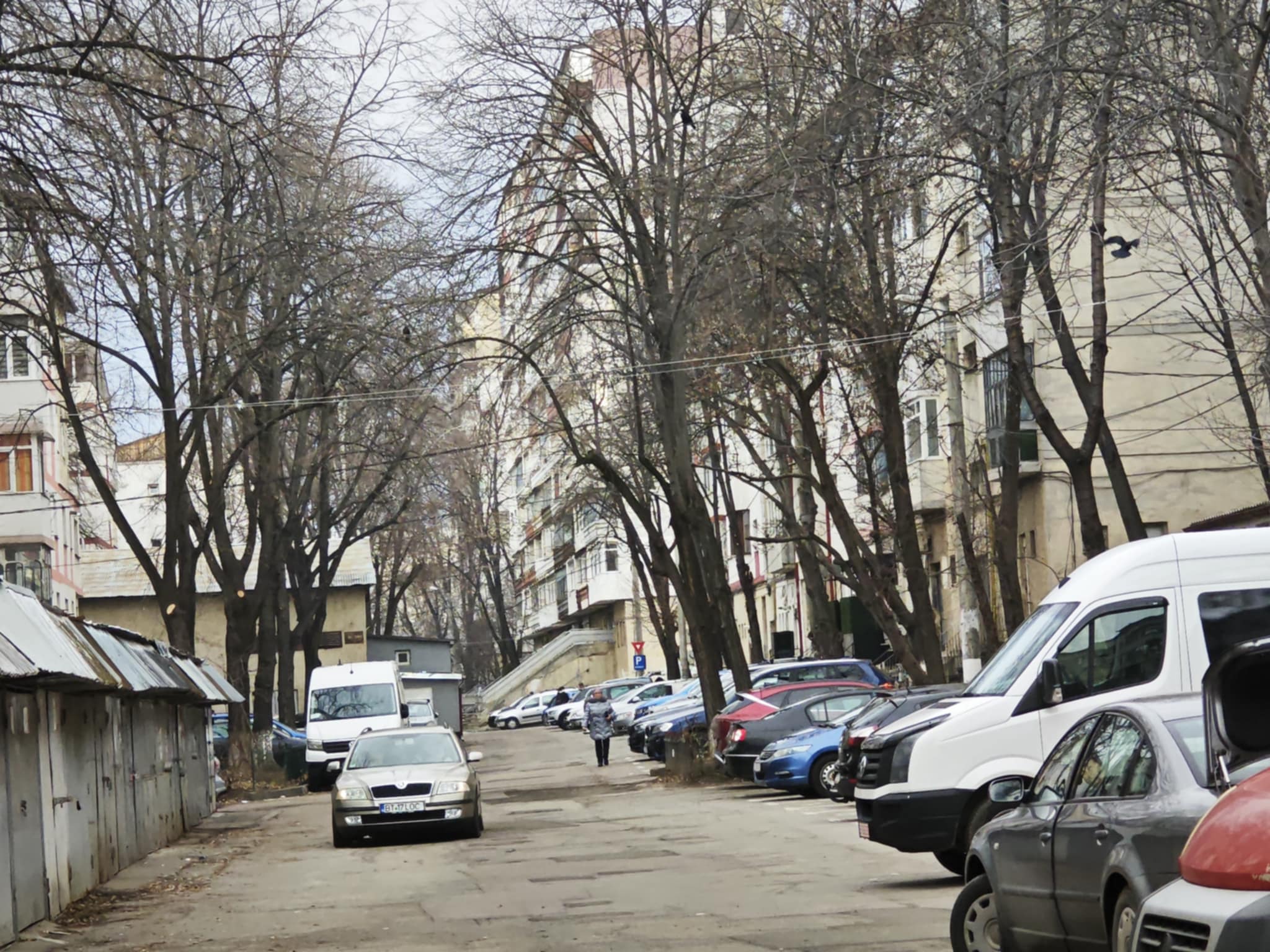 COD GALBEN emis de meteorologi la Botoșani 