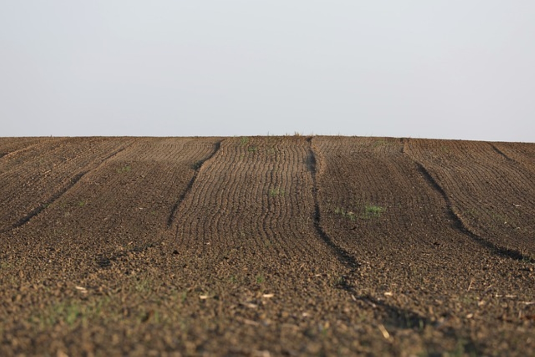 APIA Botoșani, anunț important privind rotația culturilor pe terenurile arabile