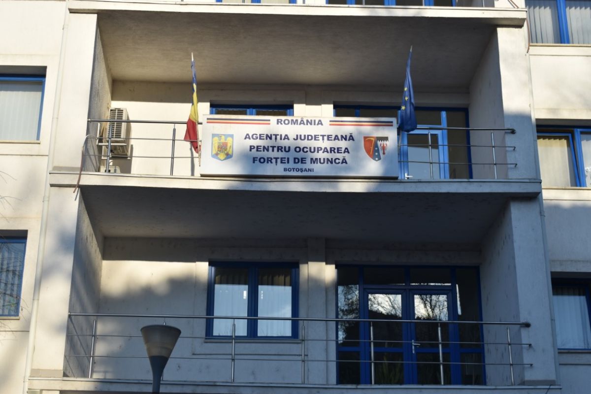 Peste 200 de joburi la Botoșani, oamenii cu facultate se caută mai puțin – LISTA 