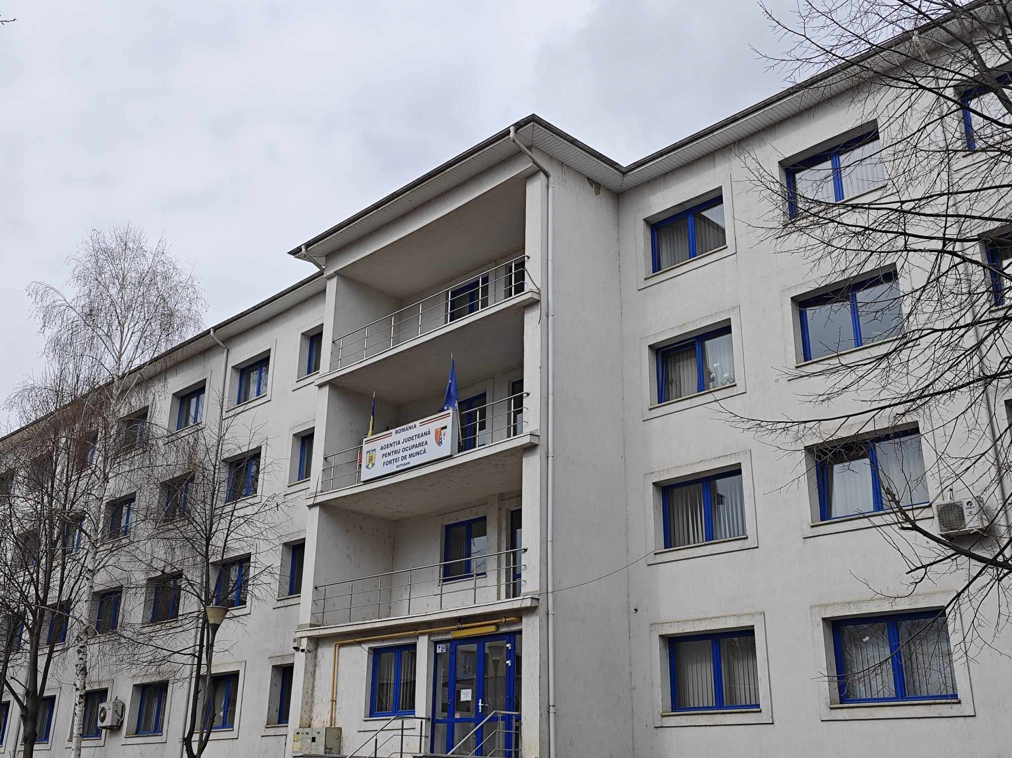 Tinerii încep să se angajeze: CÂȚI și-au găsit un loc de muncă prin AJOFM Botoșani 