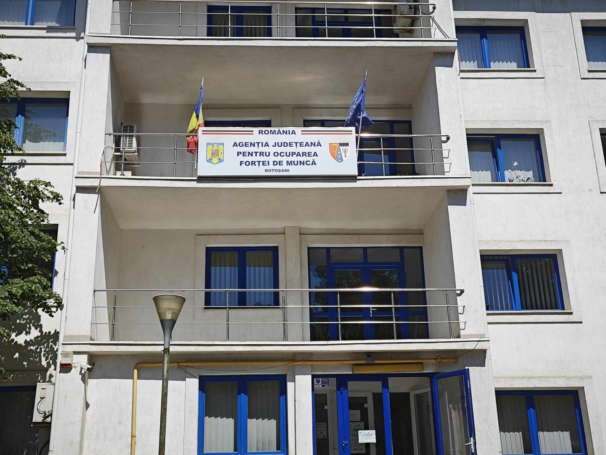 Peste 4.000 de șomeri la Botoșani: CÂȚI iau bani de la stat