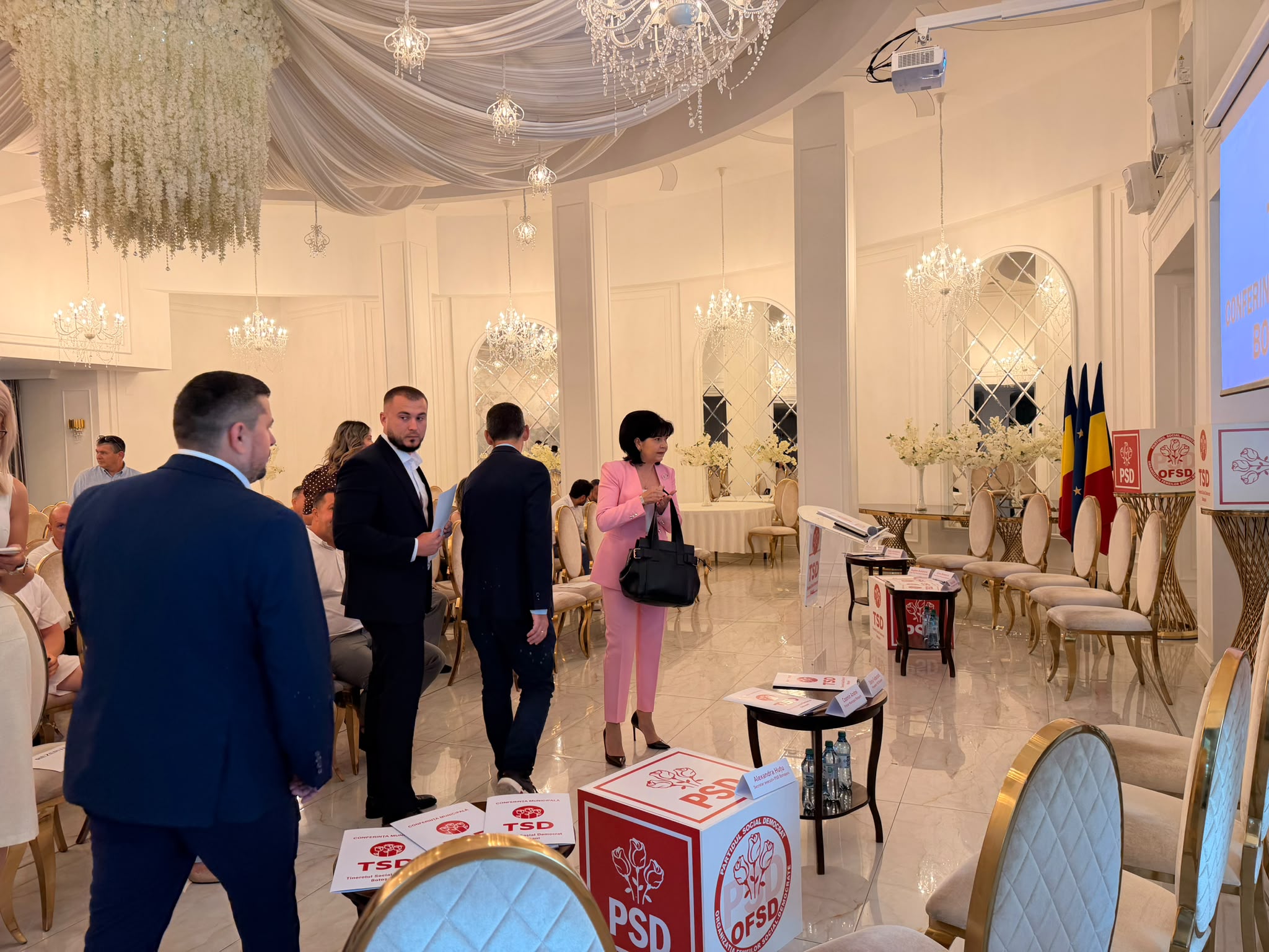 alegeri tsd botosani