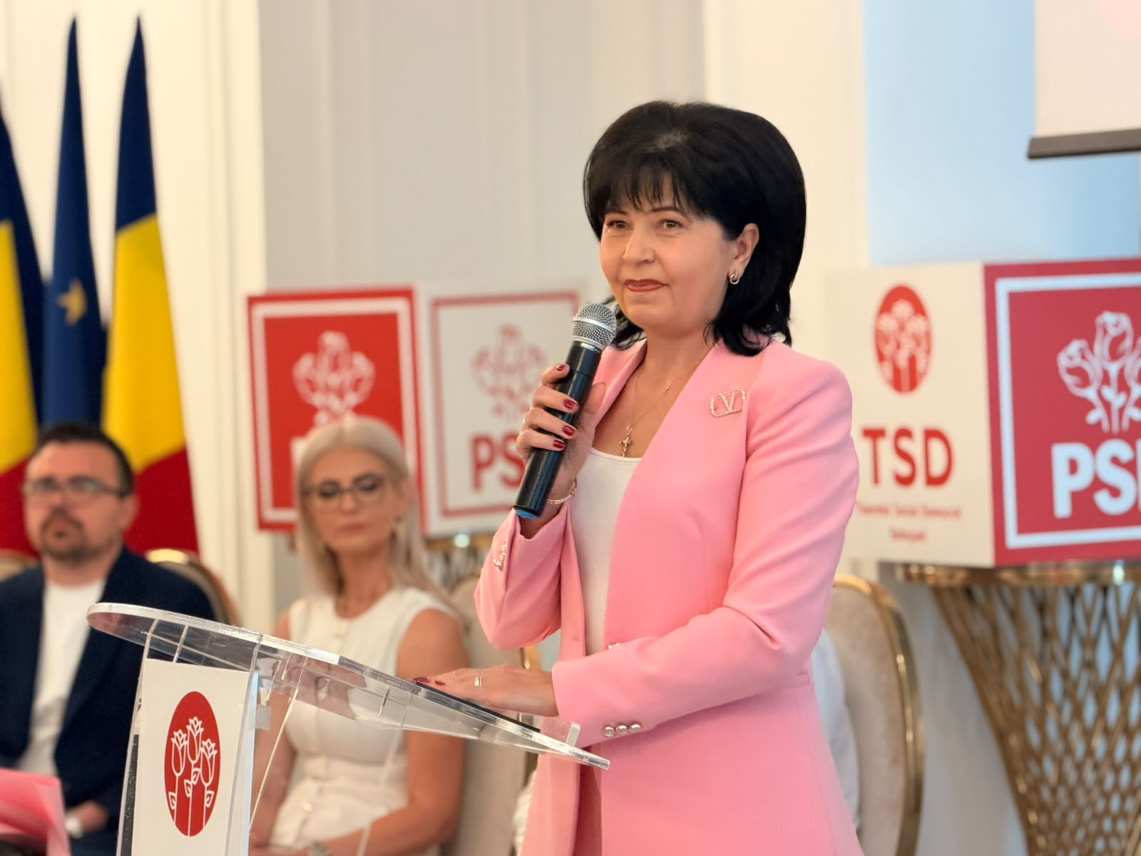 alegeri TSD Botosani