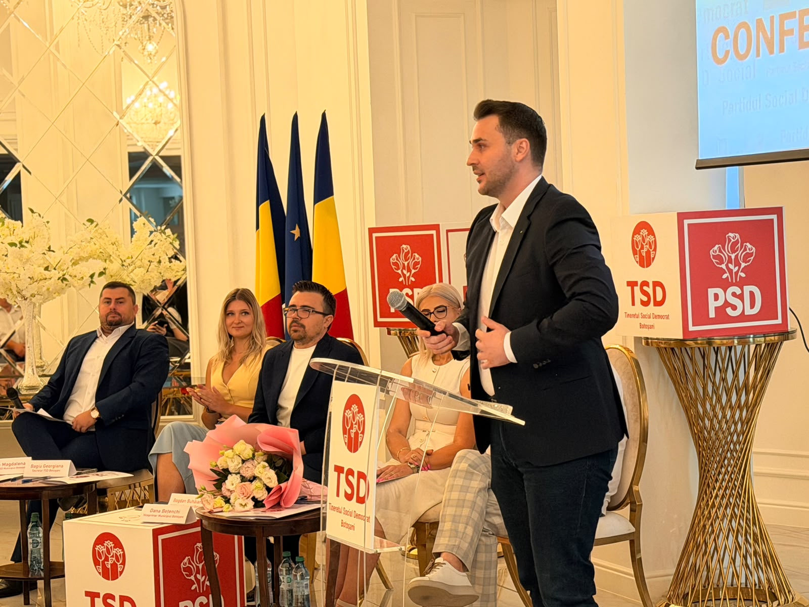 alegeri TSD Botosani
