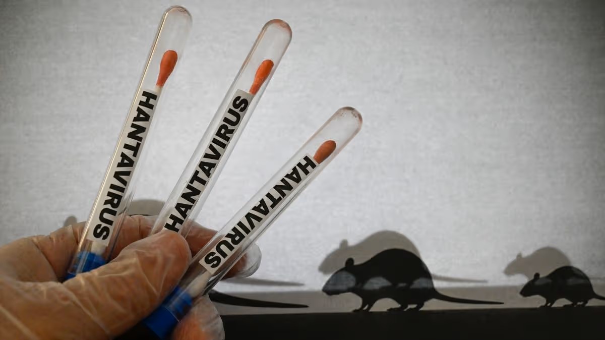 alerta de hantavirus.