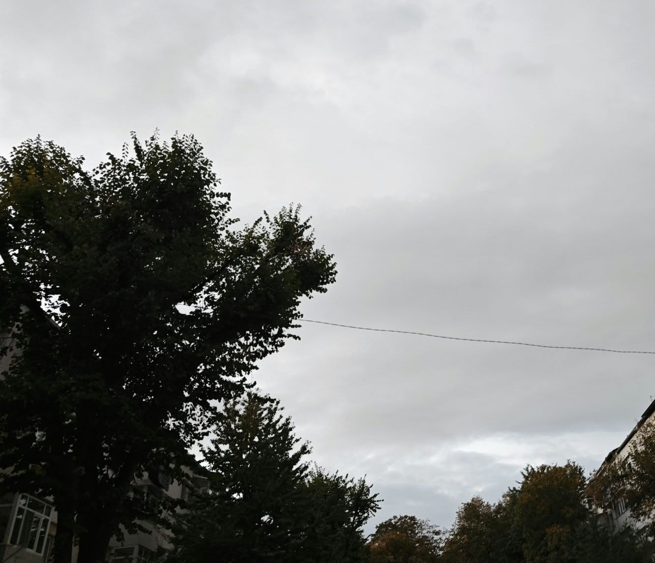 cod galben de vant la botosani