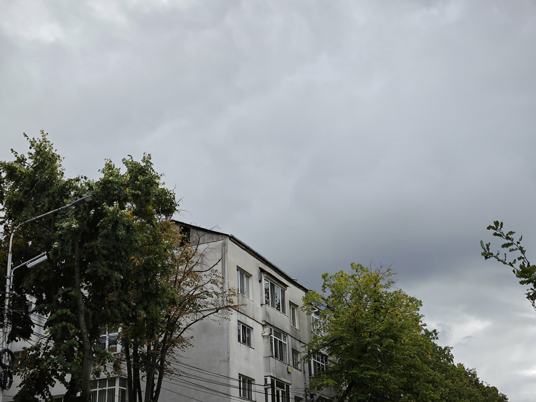 ploi in municipiu
