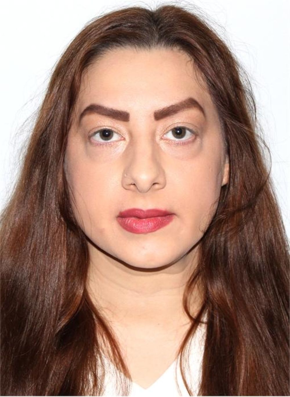 Alibnet Meghie
