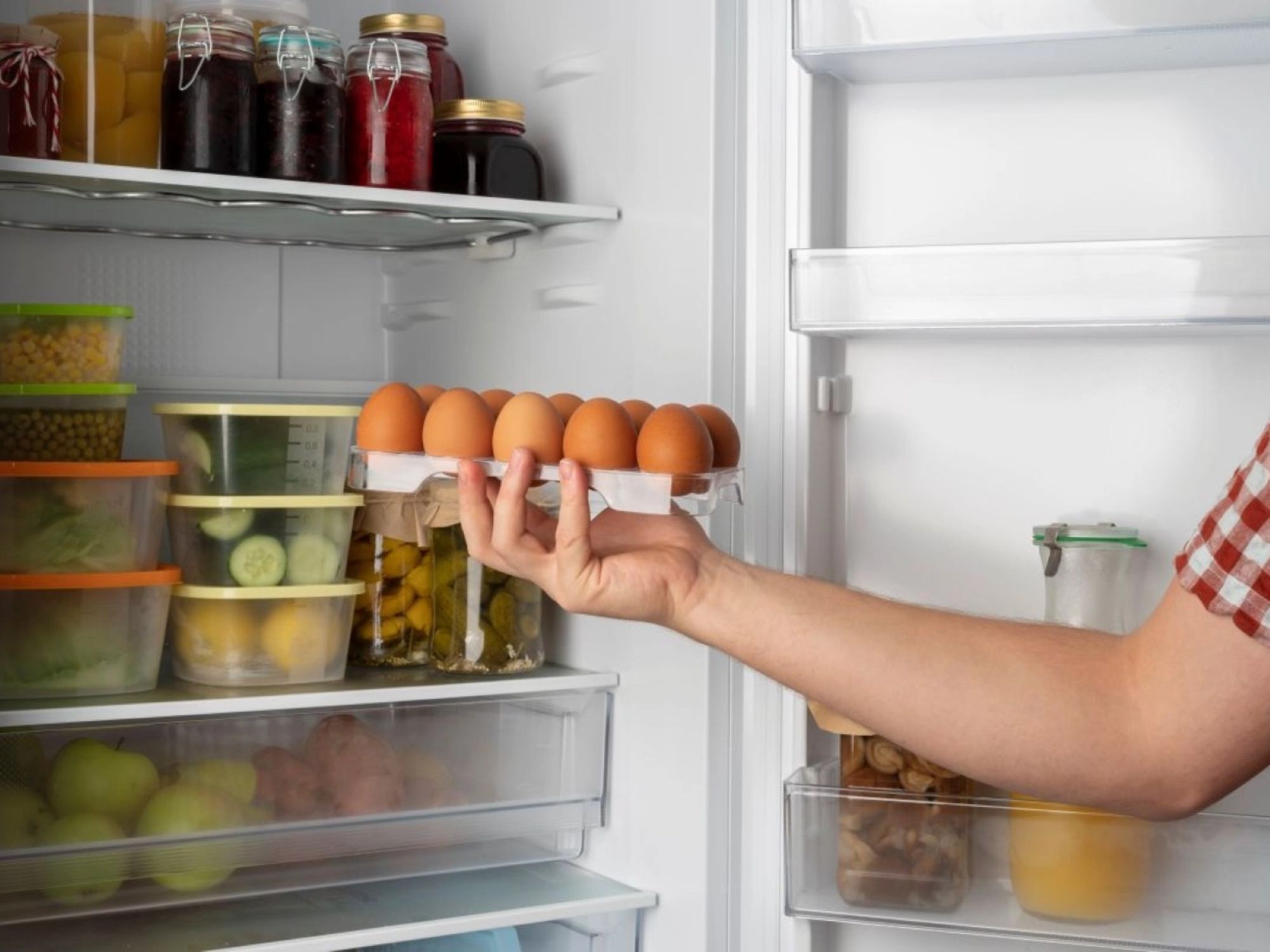 alimente in frigider