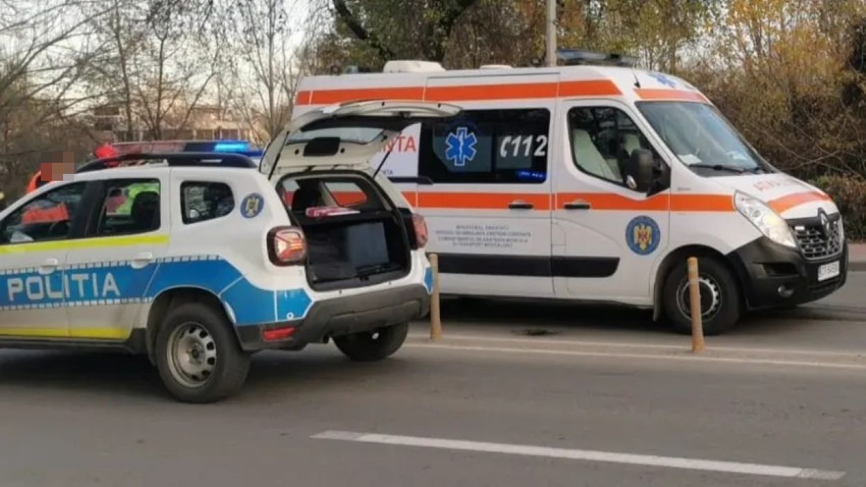 fetita muscata de un caine