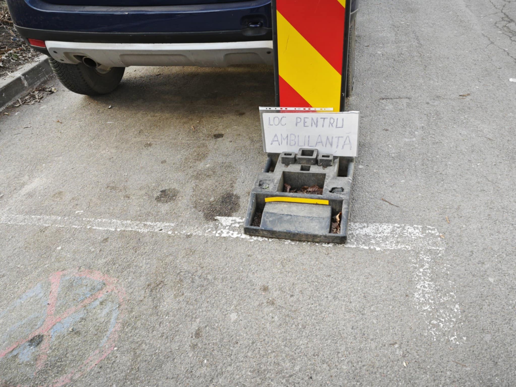 Poza zilei 12 martie 2025 