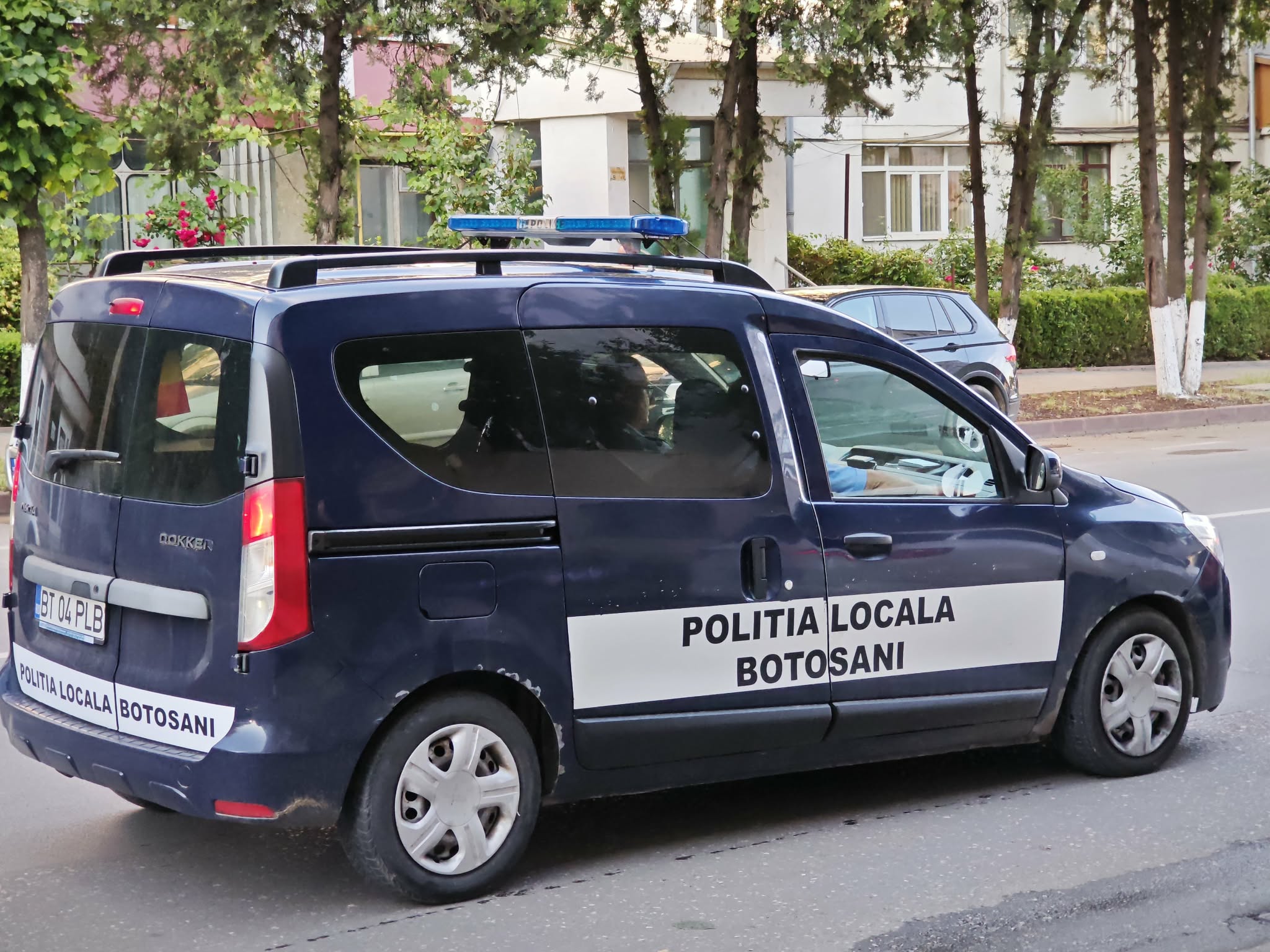 amenzi tineri.