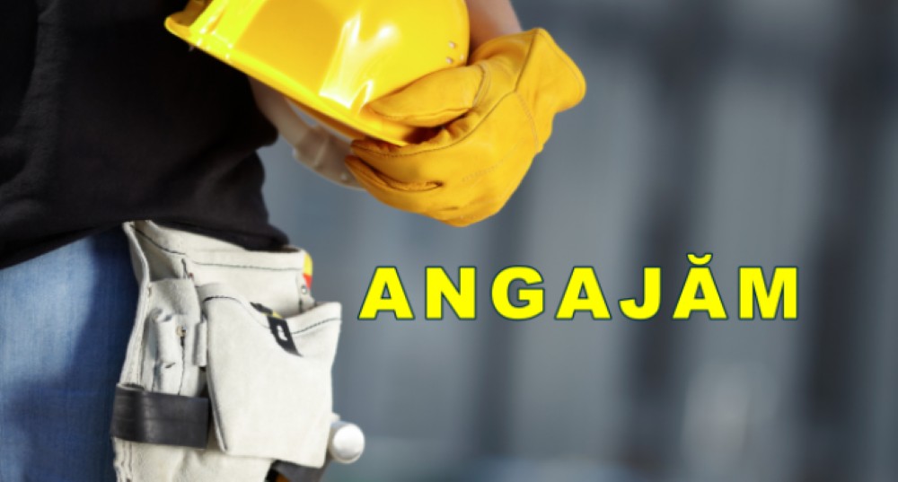 O firmă caută 20 de muncitori necalificați care să știe limba engleză – LISTA locurilor de muncă  