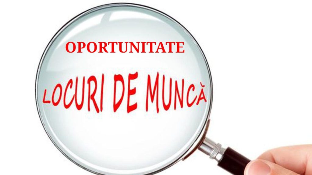 Angajări la una dintre cele mai mari fabrici din Botoșani