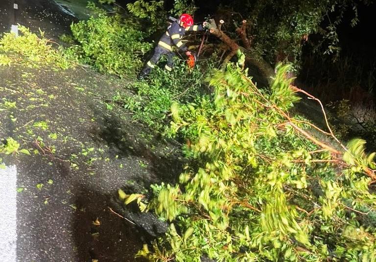 Arbori doborâți de furtună, intervenții în noapte ale pompierilor