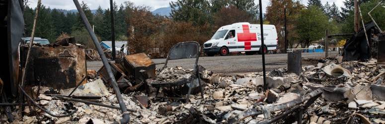 Arde vegetația aproape de casă? Ce pregătești din timp și când pleci fără să mai aștepți