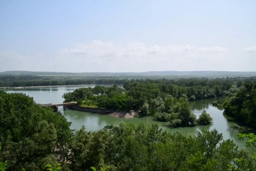 Locul spectaculos de la Botoșani cu specii și plante deosebite