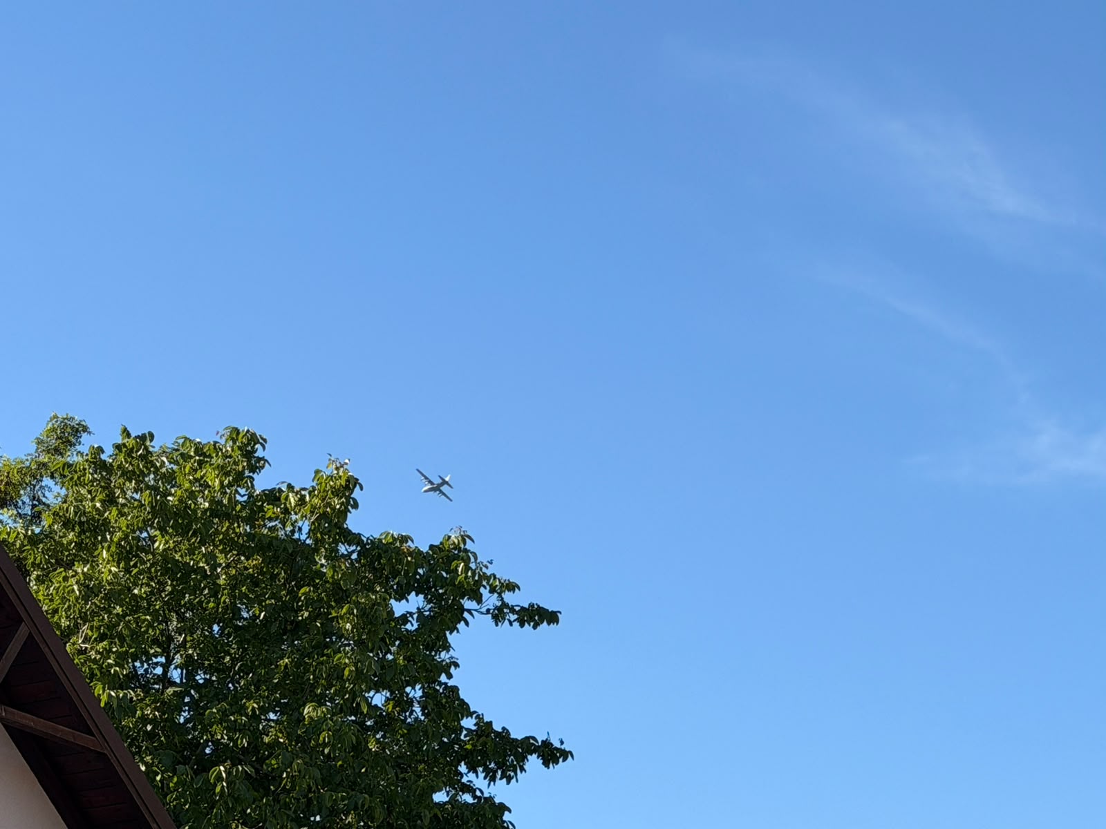 Avion militar al Forțelor Aeriene Române, surprins deasupra municipiului Botoșani