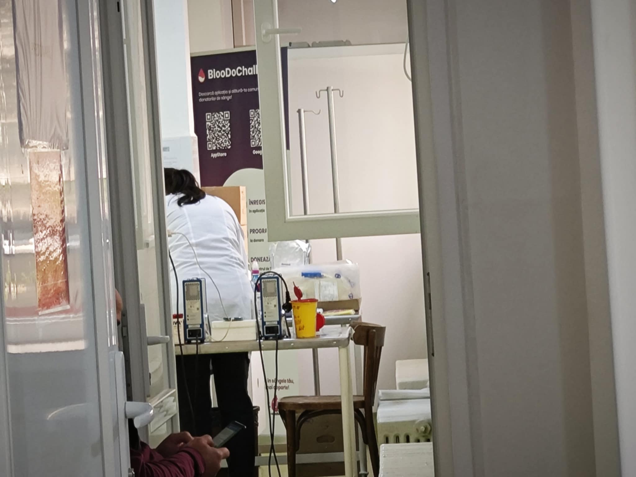 O botoșăneancă rănită grav într-un accident are nevoie de sânge