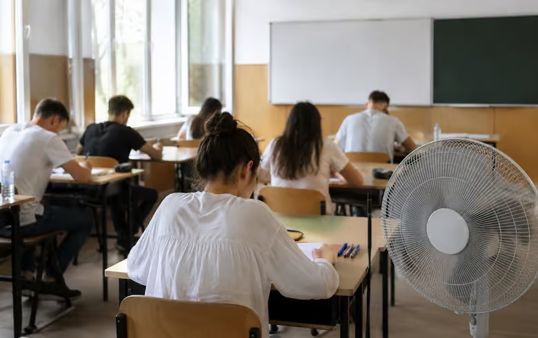 balacaureat canicula