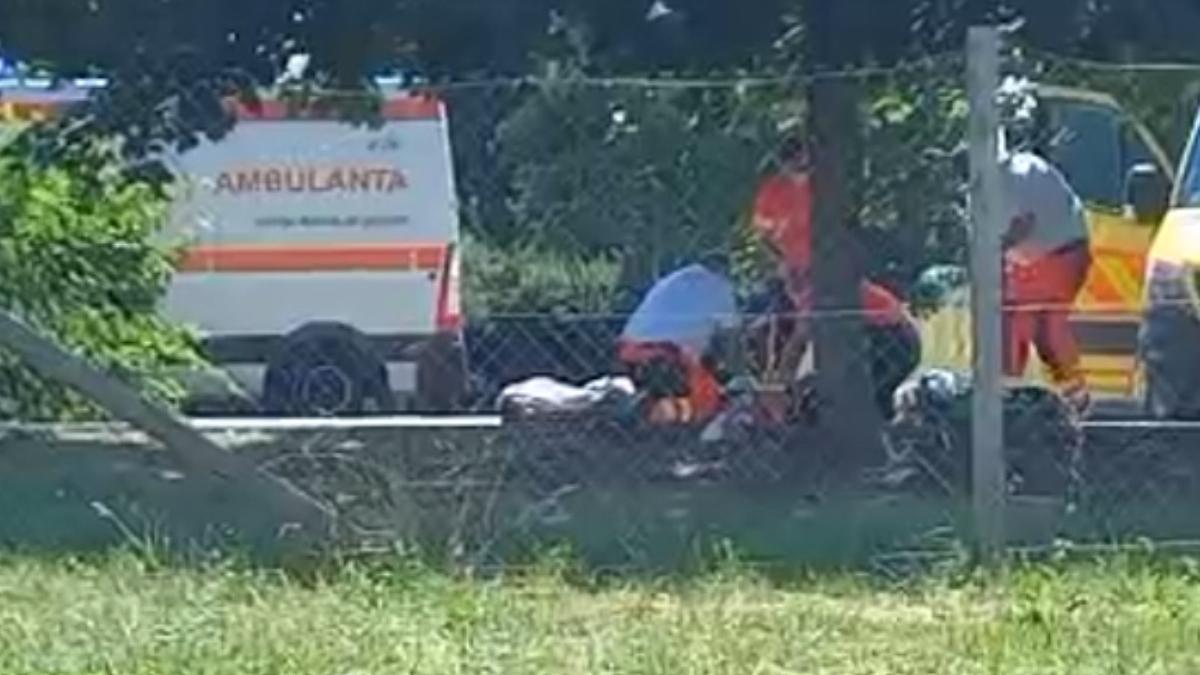 barbat mort vegetatie dorohoi