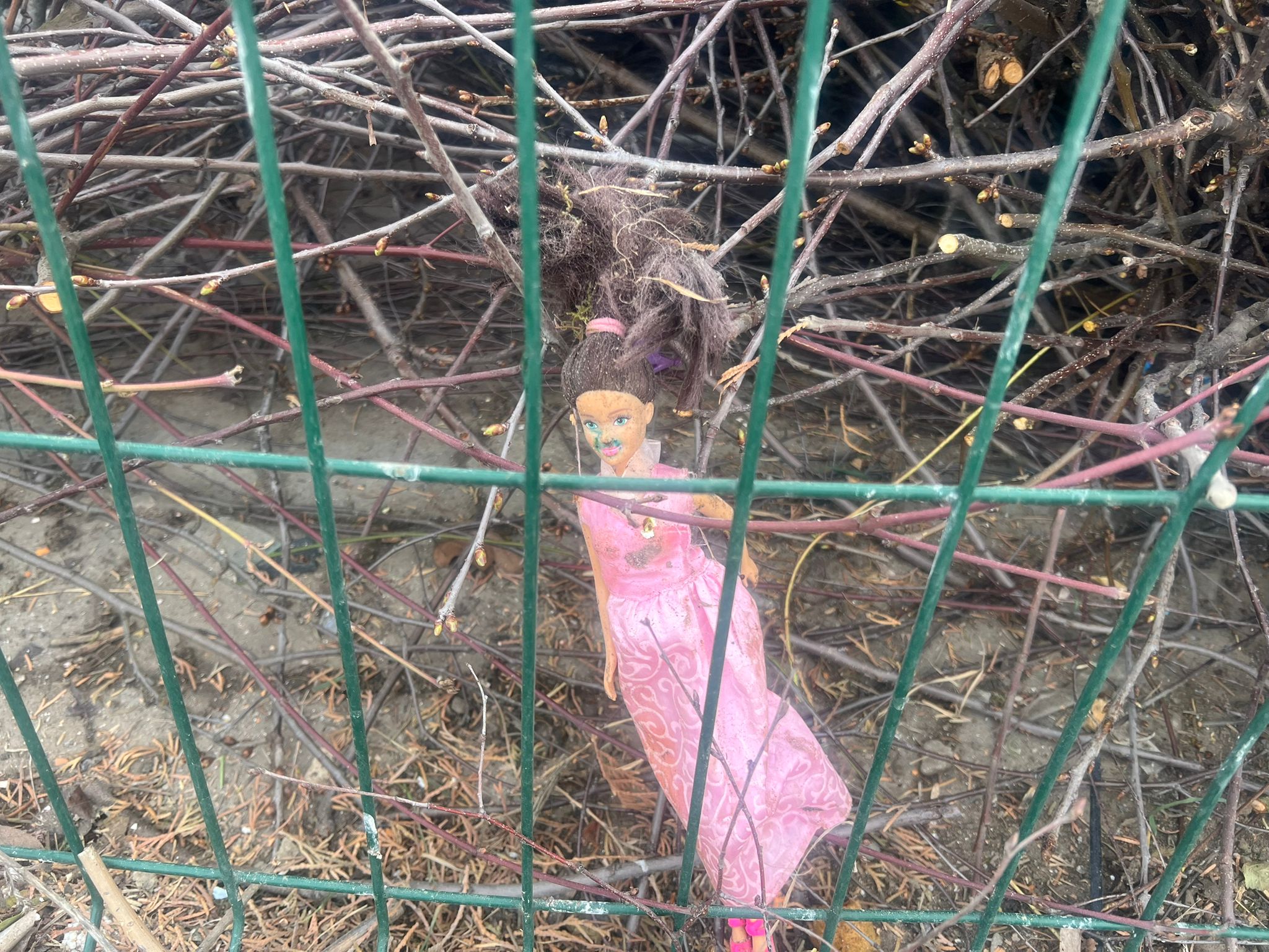 Poza zilei 25 martie 2026