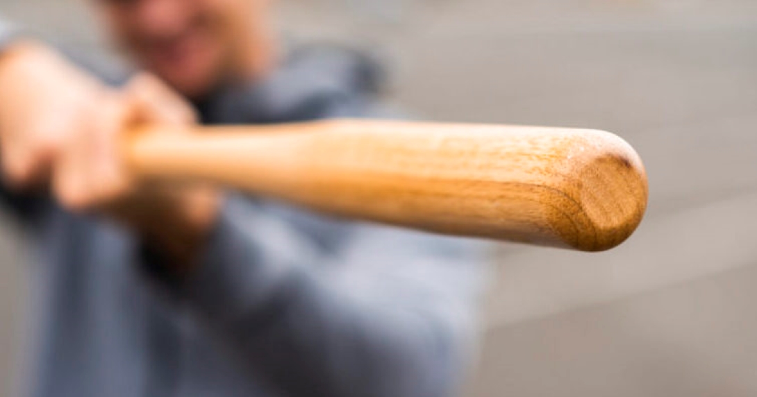 Tânăr din Botoșani trimis în judecată după ce a lovit câinele vecinului cu o bâtă