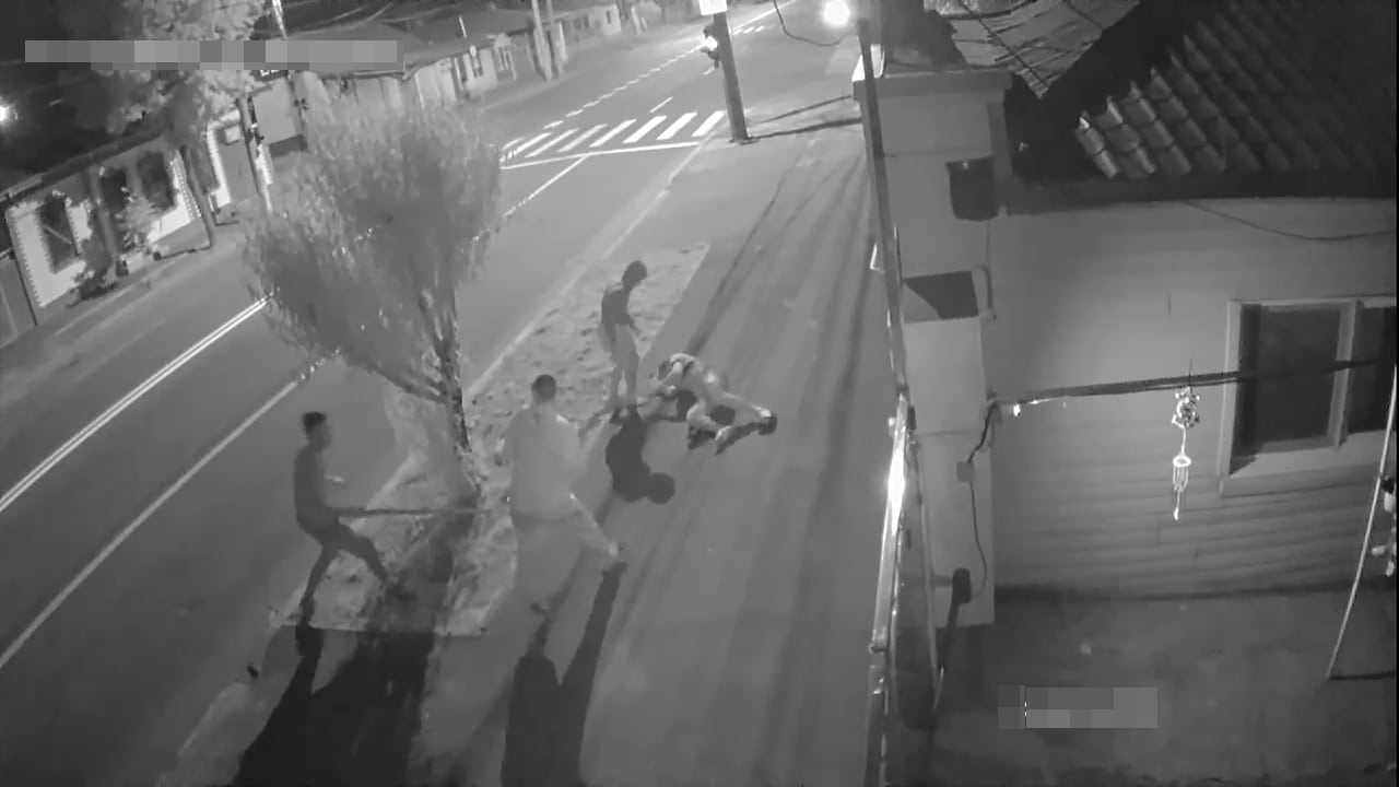 Doi haiduci din Botoșani au bătut copii și adulți și apoi s-au ascuns de Poliție 