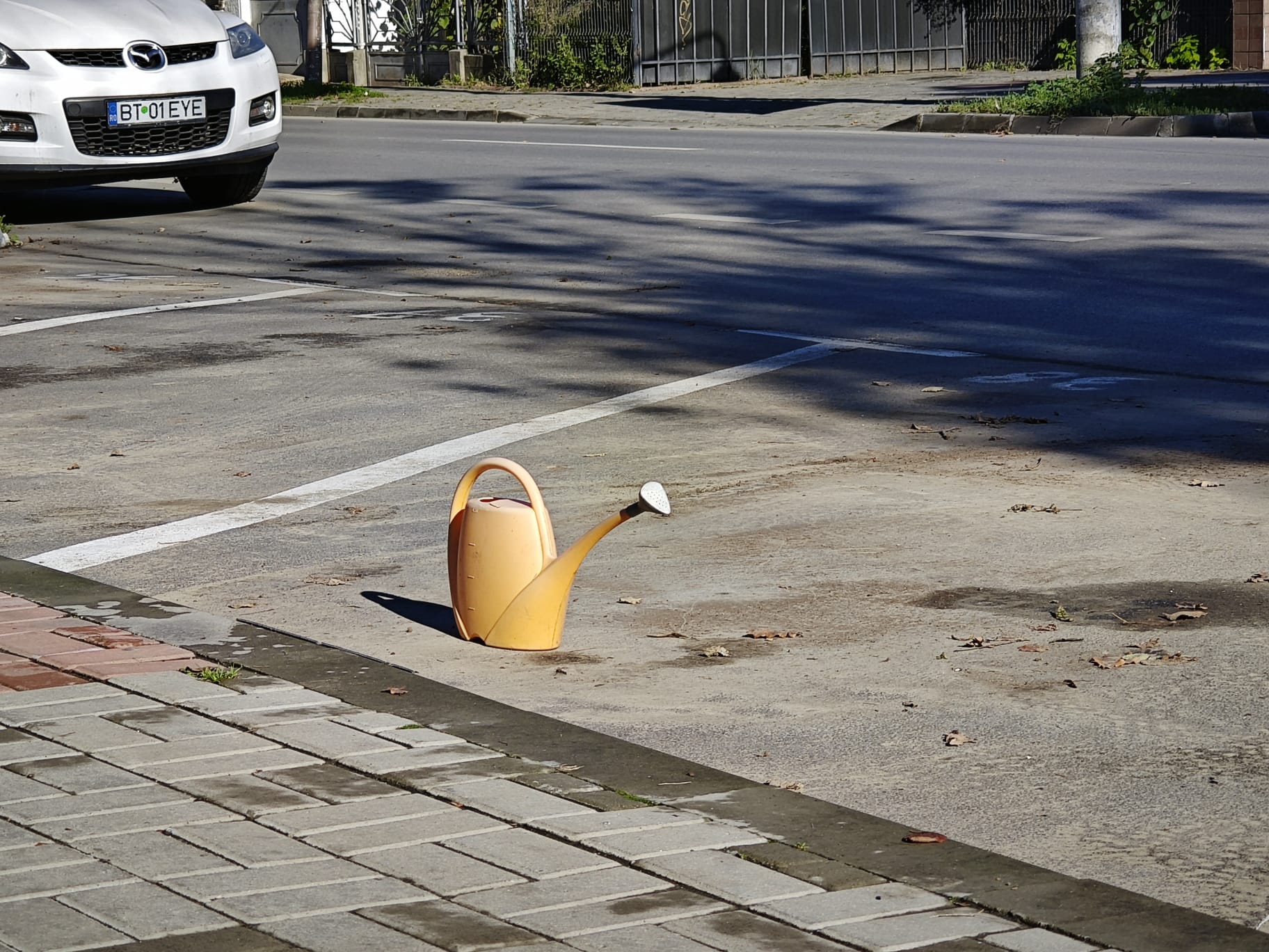 Poza zilei 1 aprilie 2025 