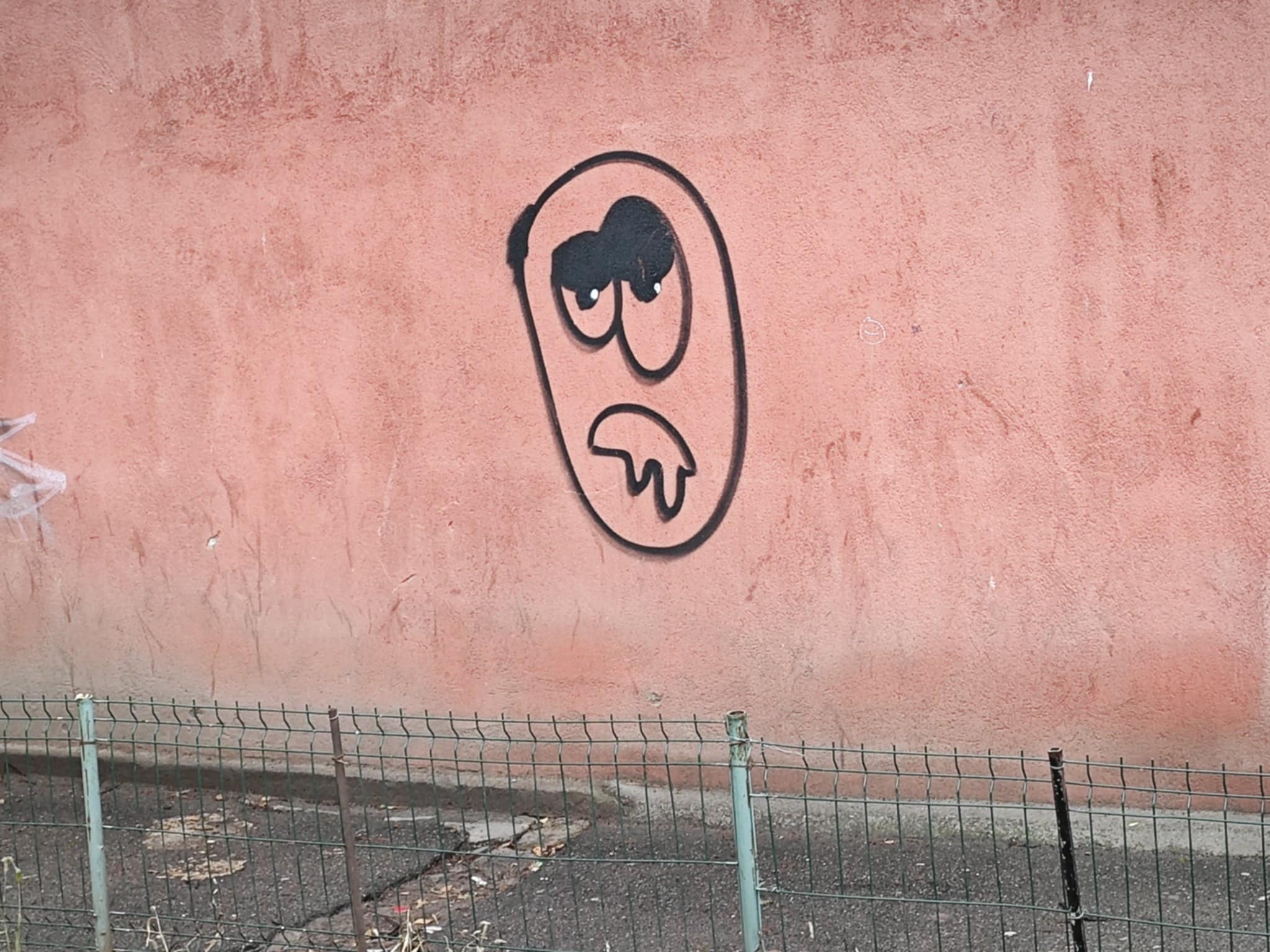 Poza zilei 13 decembrie 2024