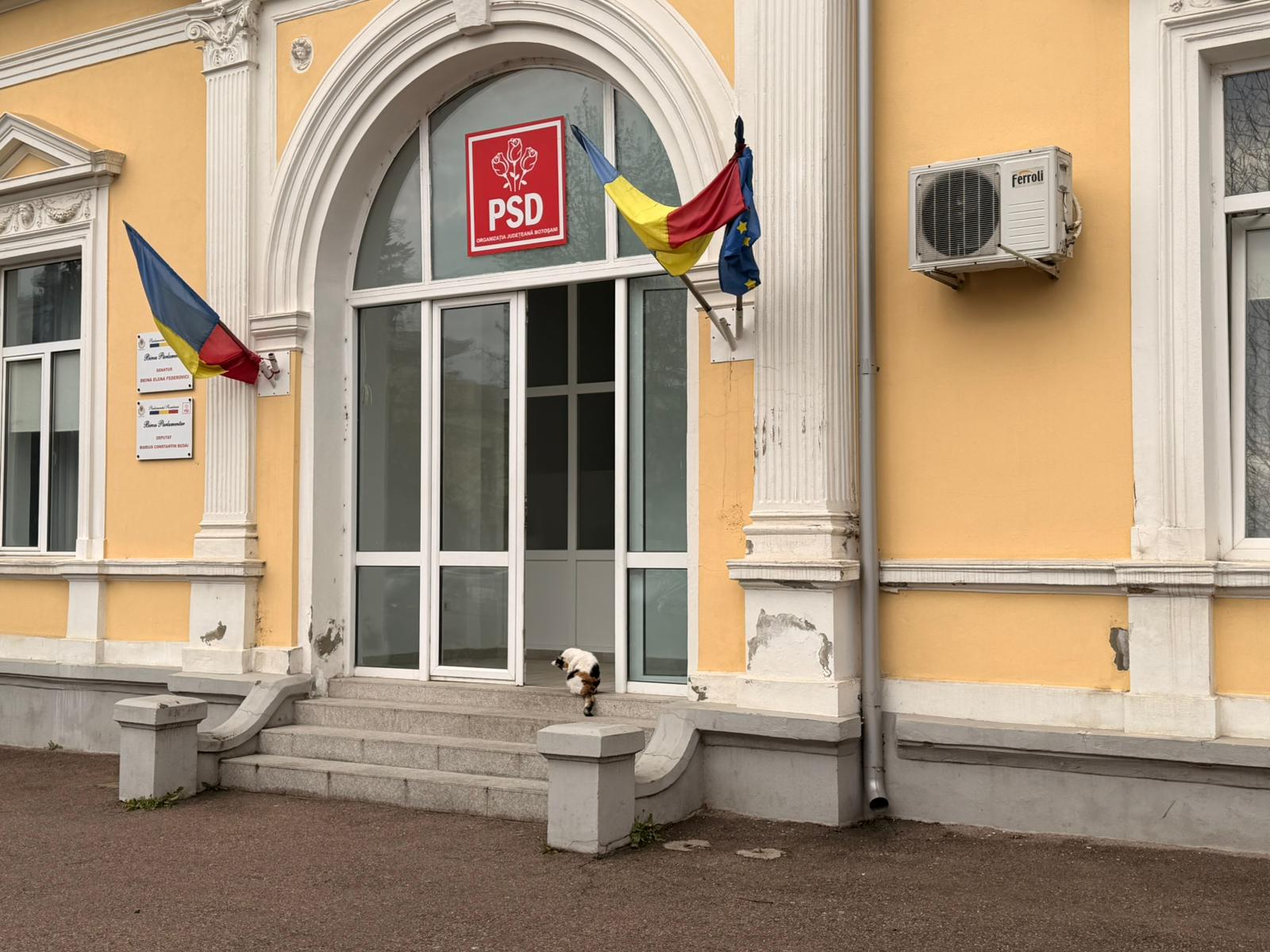 bodyguard la sediul psd botosani