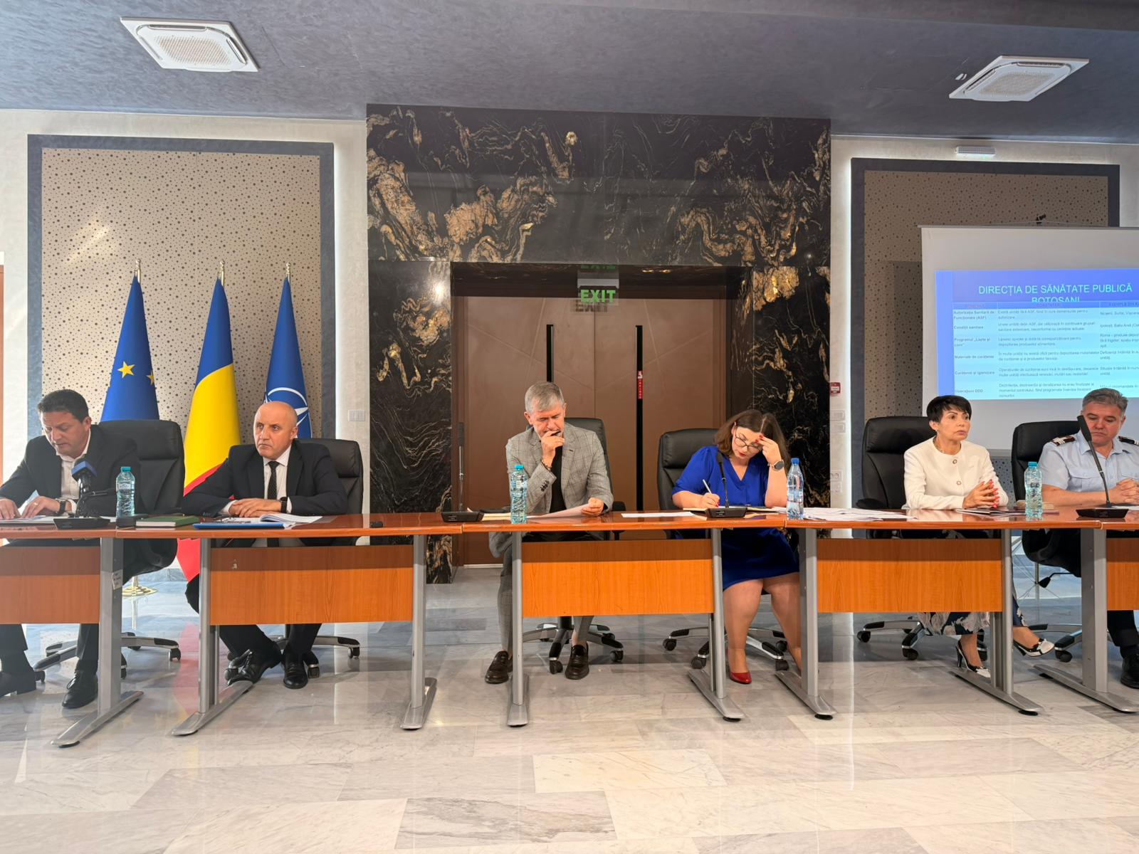 Situația școlilor din Botoșani, prezentată în Colegiul Prefectural.