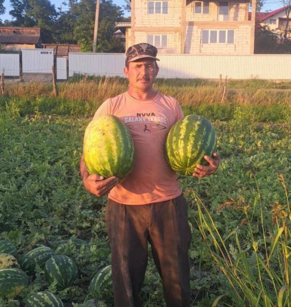 Durere într-o familie din Botoșani: Un tată a cinci copii a murit departe de casă  