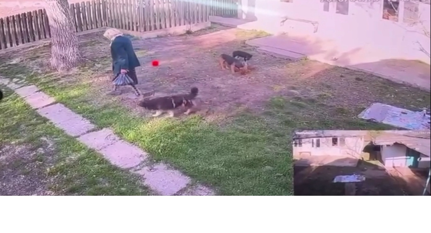 Sunați la 112 dacă o vedeți! O botoșăneancă de 94 de ani surprinsă pe camerele video în timp ce pleacă de acasă – VIDEO 