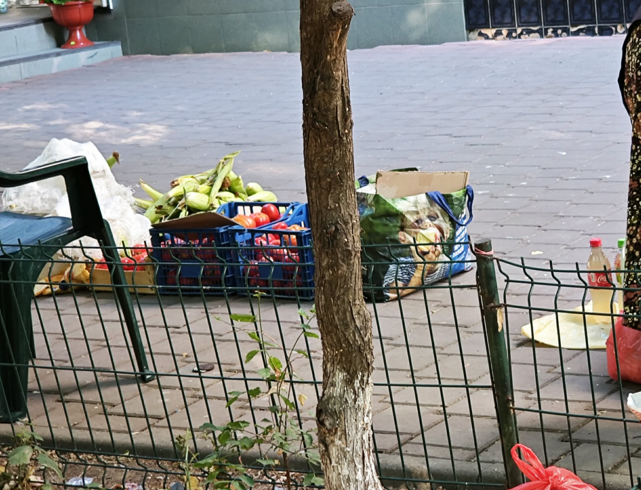 botosaneni fugariti din piata.