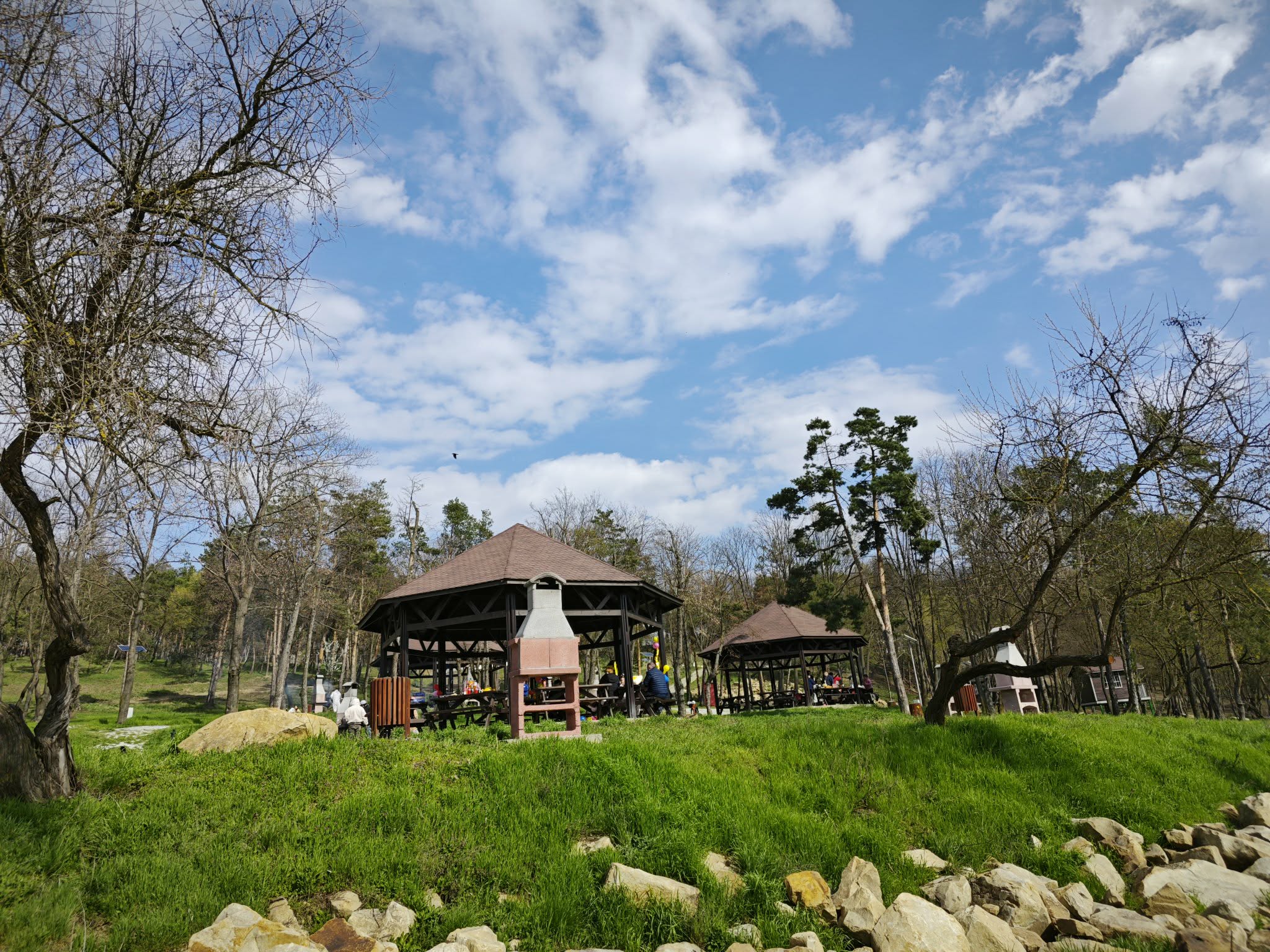 botoșănenii au ieșit la grătare