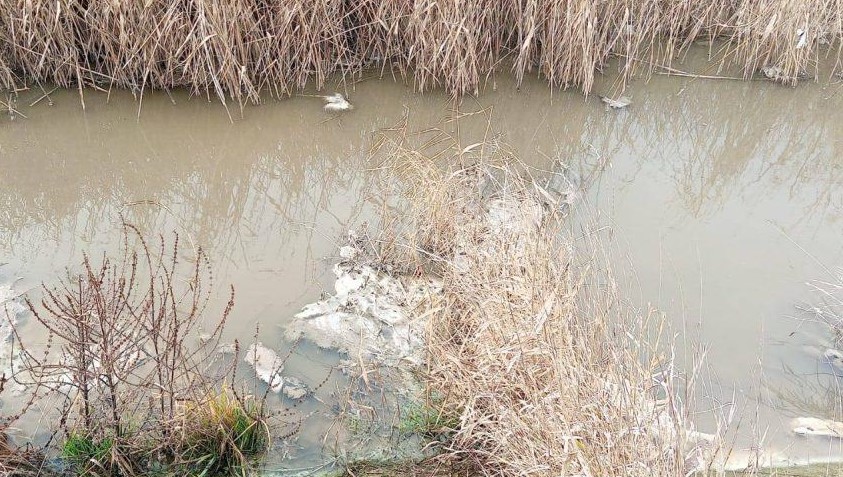 Copil îmbolnăvit din cauza unei poluări masive: Tatăl cere disperat ajutorul - VIDEO