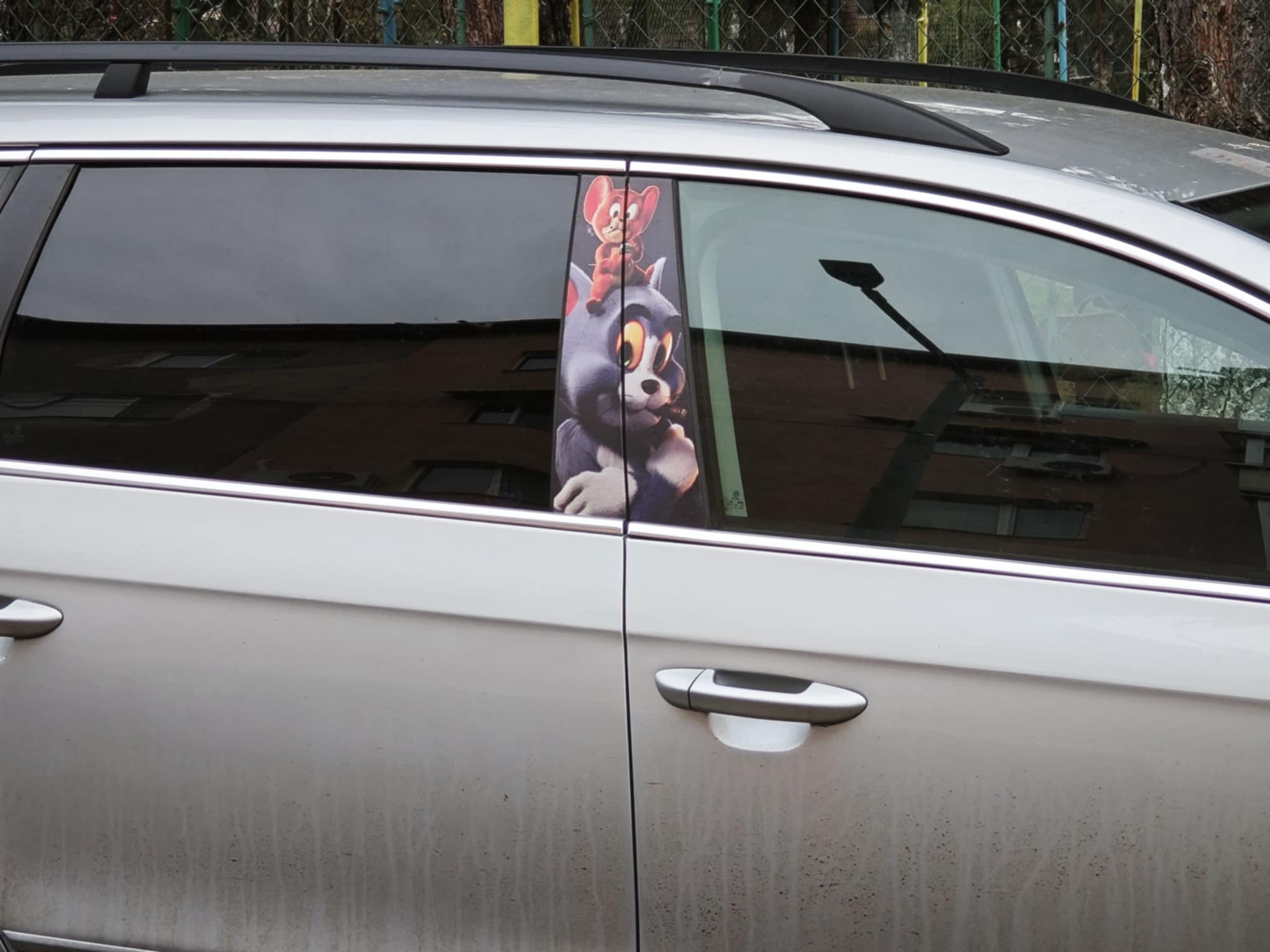 Poza zilei 8 ianuarie 2025 