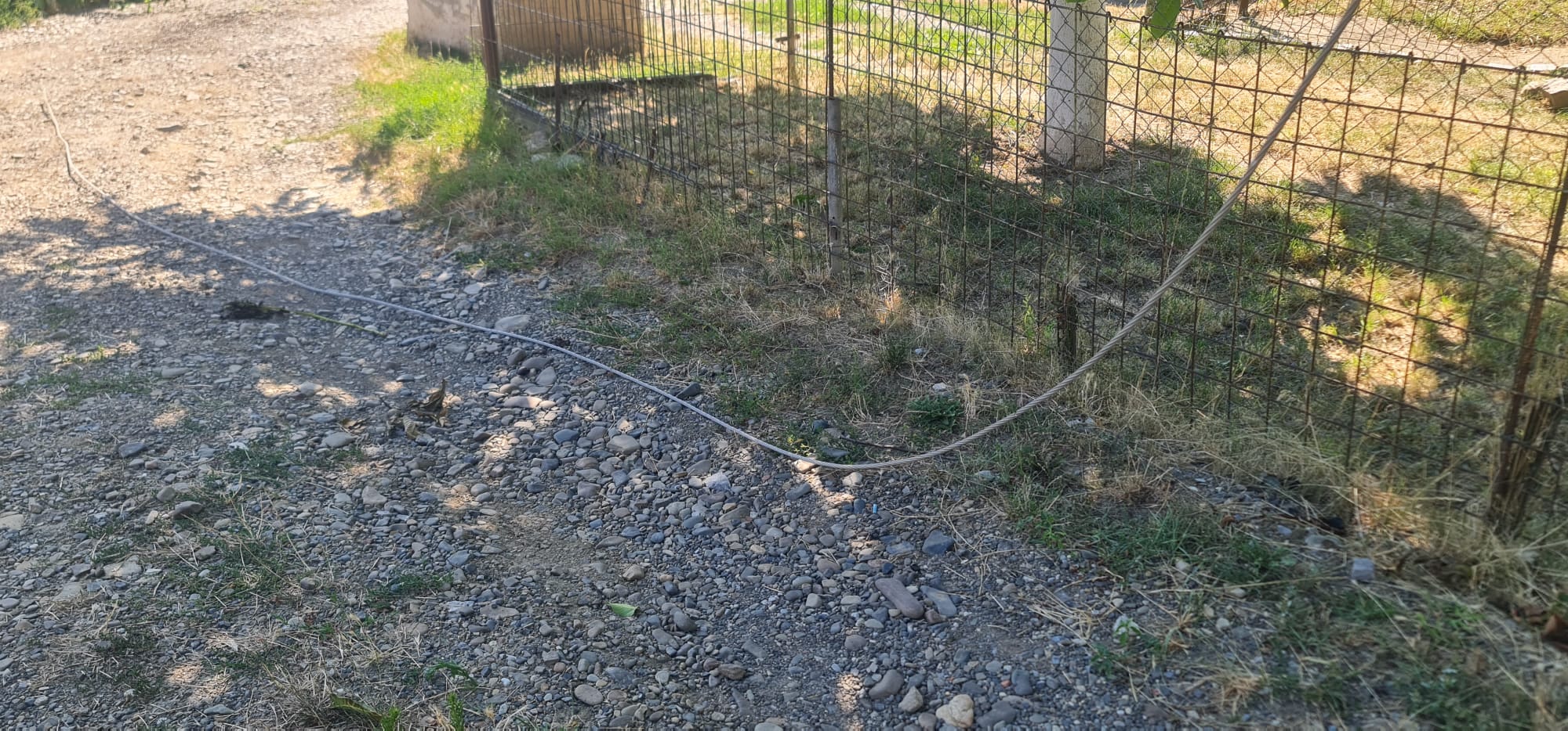 cabluri cazute municipiul Botosani
