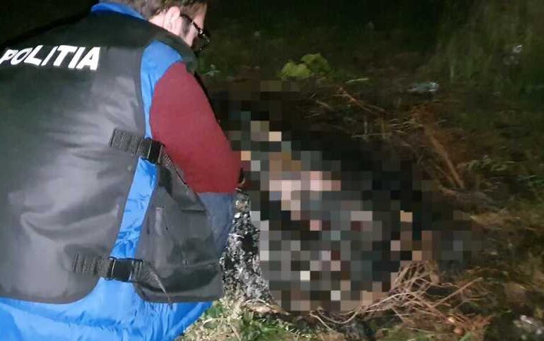 Un botoșănean care și-a omorât câinele apoi i-a dat foc condamnat la 3 ani și 2 luni de pușcărie