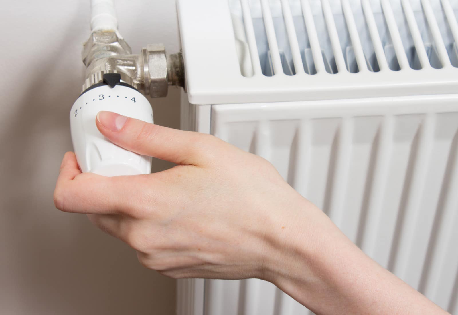 modern calor caldura