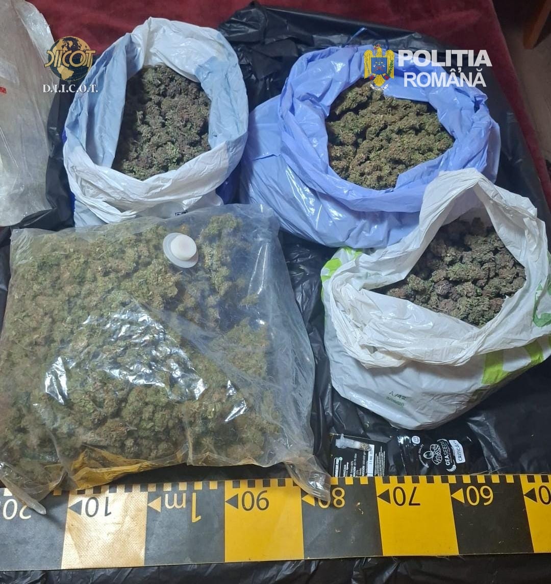 captura uriasa de droguri