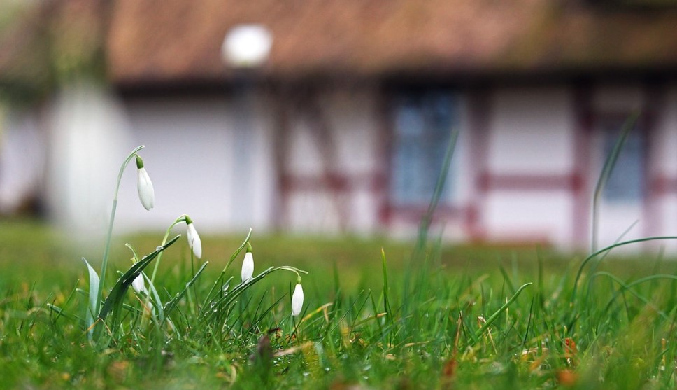 Ce temperaturi ne aşteaptă de sărbători: Prognoza meteo pentru următoarele patru săptămâni