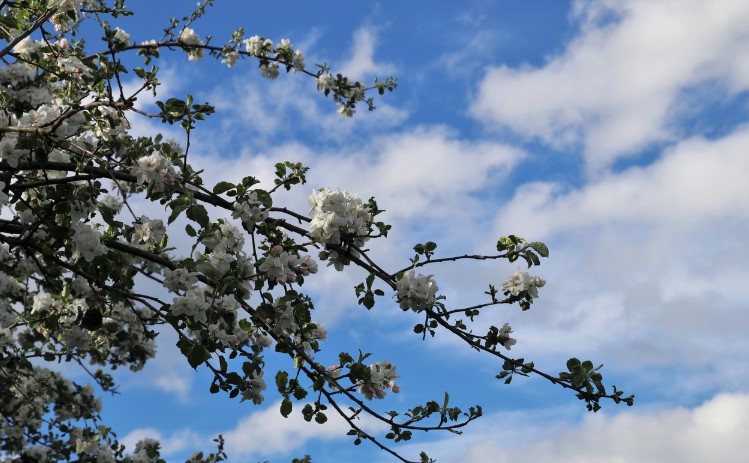 Cum va fi vremea în noaptea de Înviere şi prima zi de Paşte: ANM anunţă temperaturi de peste 25 de grade, dar şi ploi