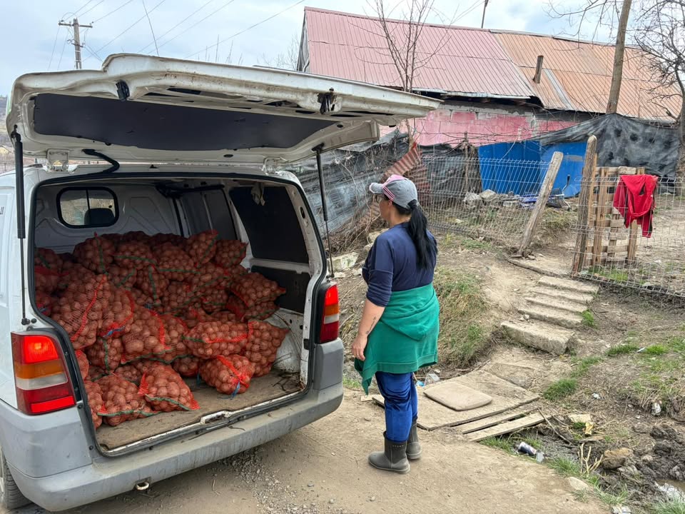 cartofi trimisi la botosani de o asociatie
