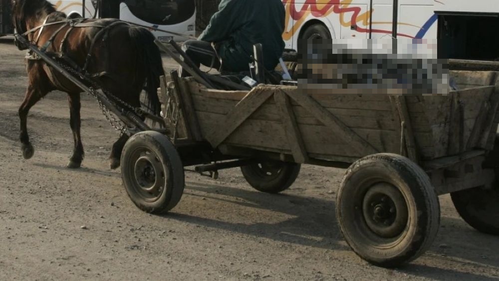 Zi cu ghinion pentru un tânăr căruțaș oprit la control 