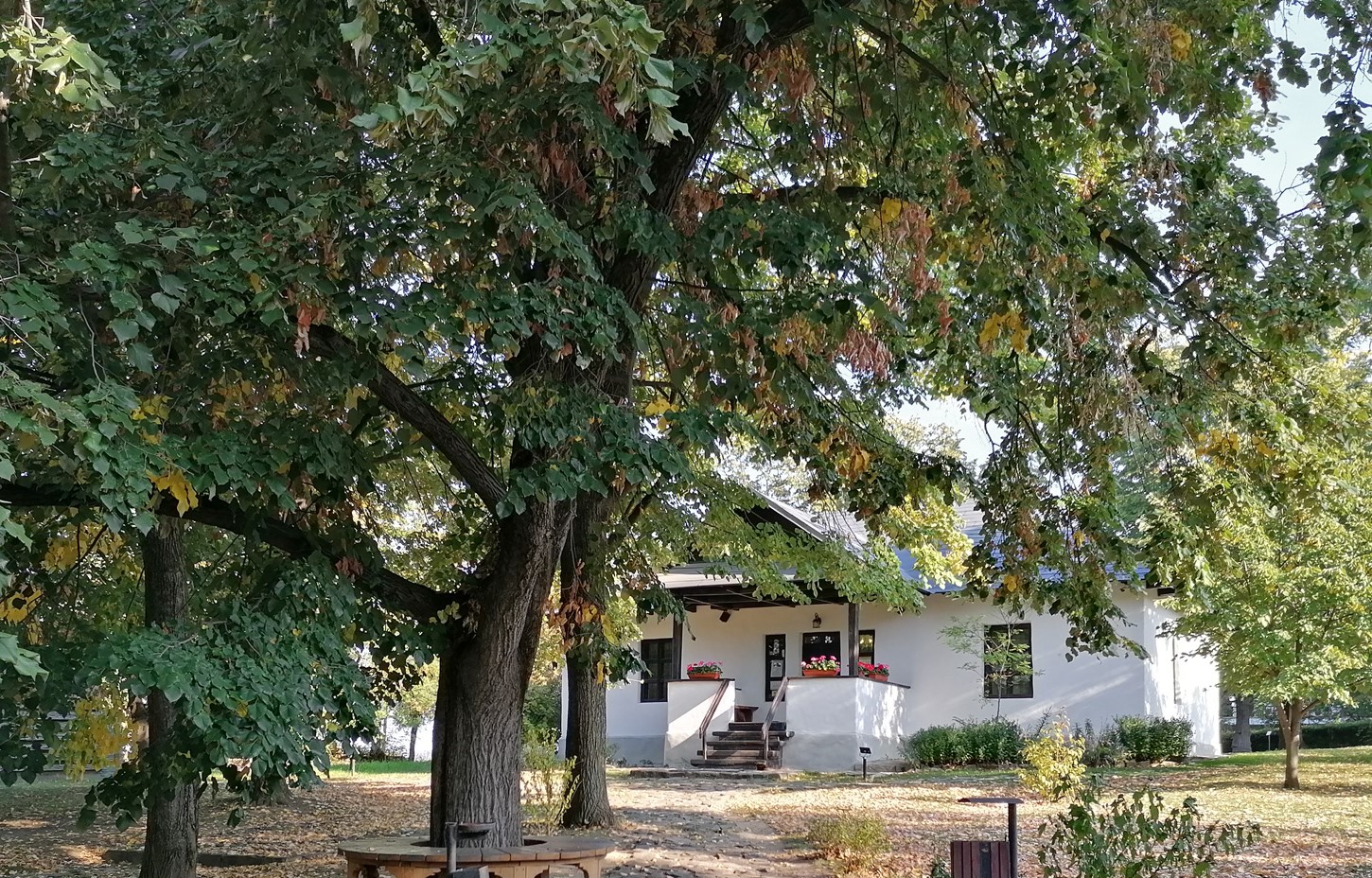 Profesorii de limba română sunt așteptați la o săptămână de lecturi și dezbateri literare, la Ipotești