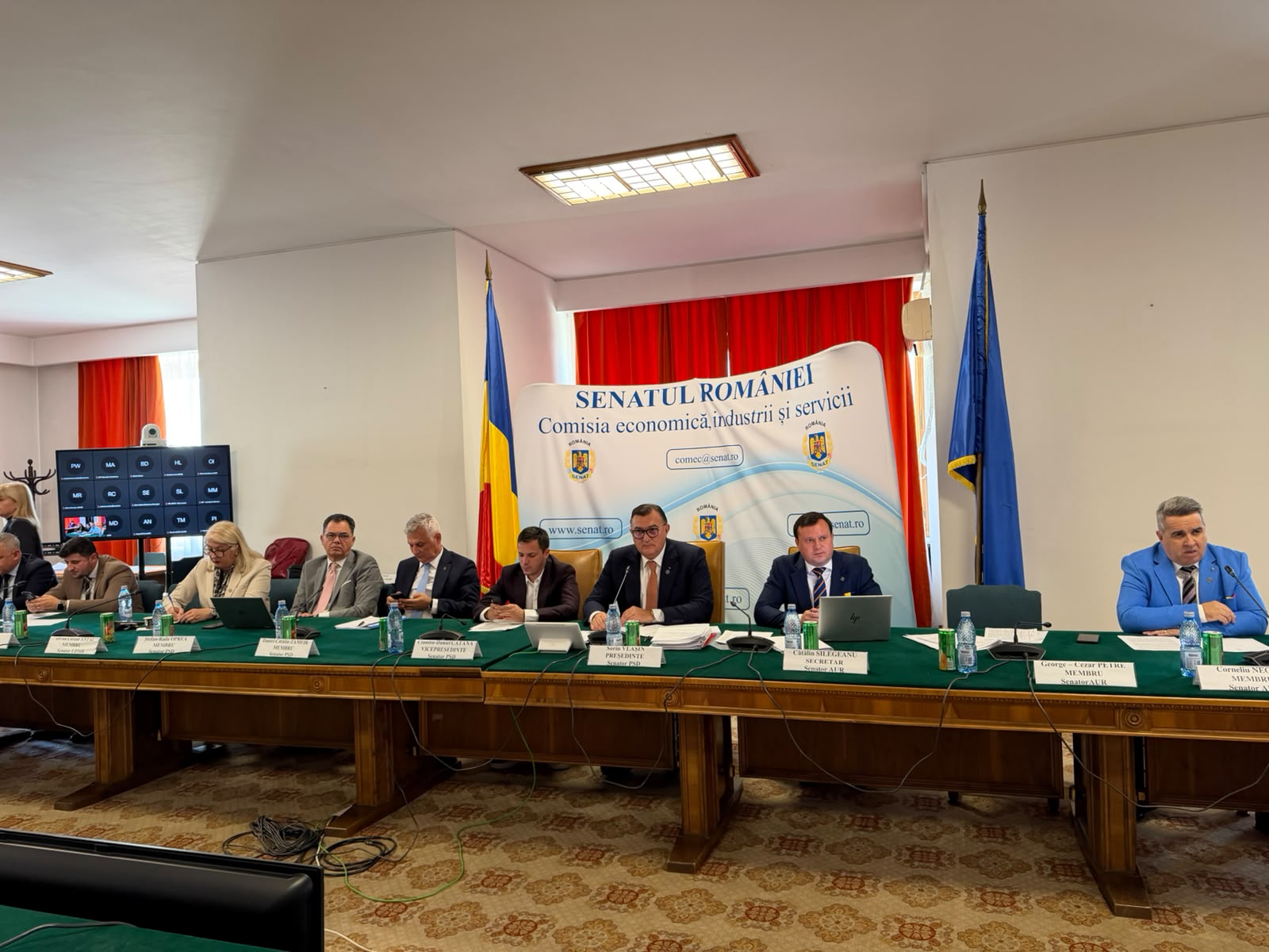 silegeanu,  amendamente in comisia economica
